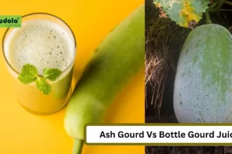 Ash Gourd Vs Bottle Gourd Juice