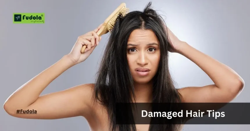 Damaged Hair Tips