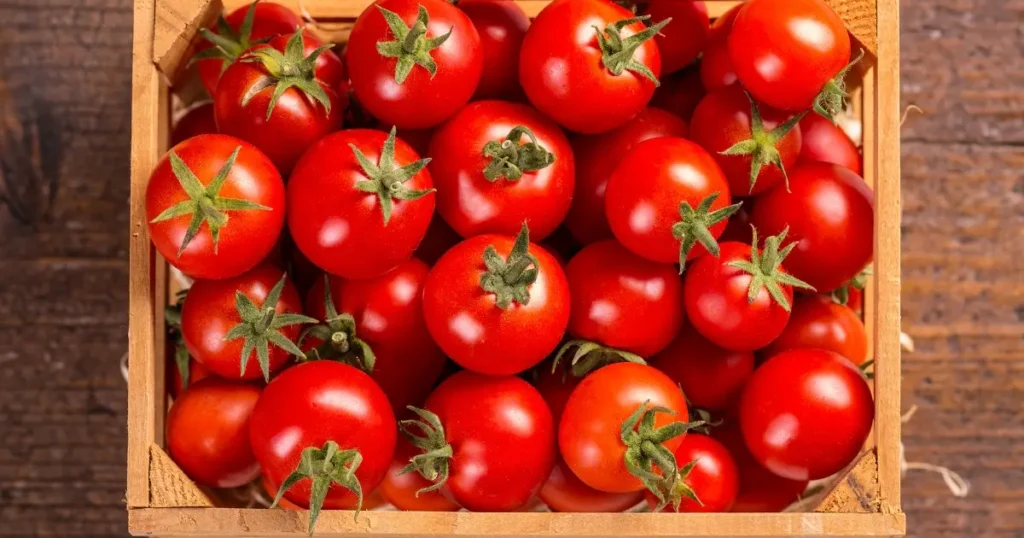 cherry tomatoes Rich in lycopene